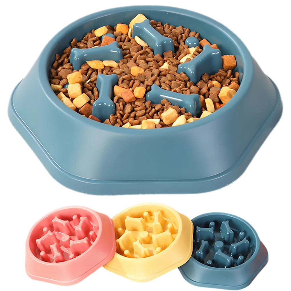 Anti-Choking Slow Feeder Dog Bowl