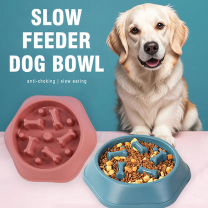 Anti-Choking Slow Feeder Dog Bowl