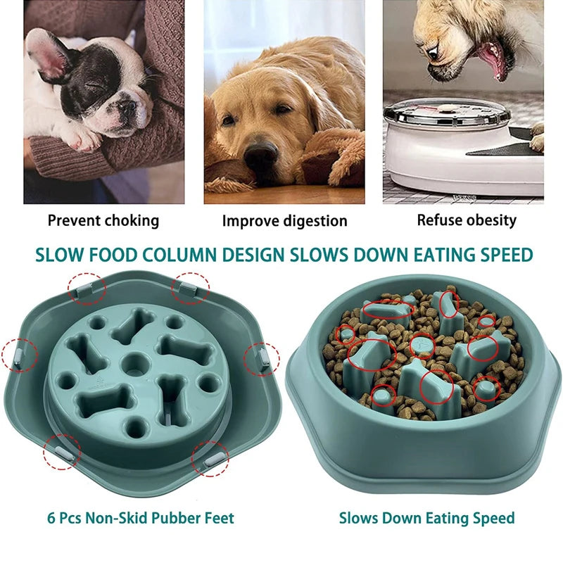 Anti-Choking Slow Feeder Dog Bowl